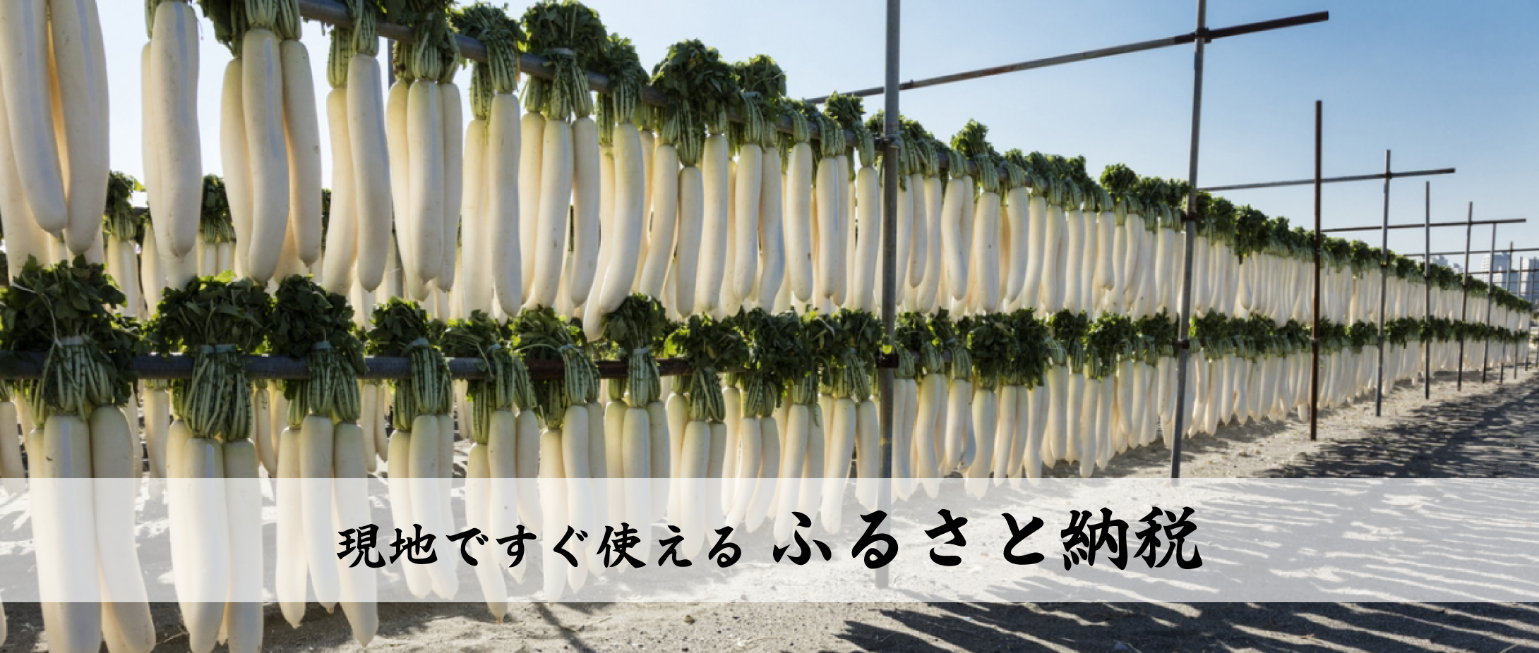 スライド画像2